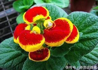 【推荐】教师节文案祝福语录推荐98句