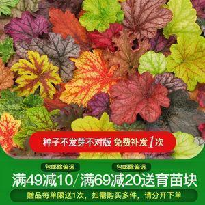 抖音很火的短句八个字