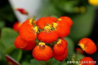 经典语录第十期