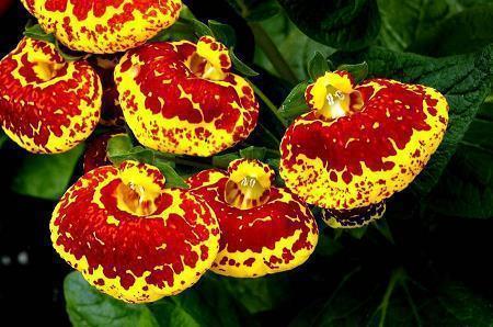 撩人晚安情话甜甜的睡觉 高情商说晚安精选81句