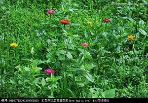 抖音那些句子83句