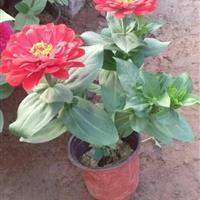 人累心烦句子说说心情