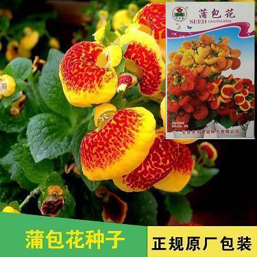 直戳心底的伤感说说大全