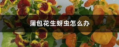 有关摩天轮的句子75句