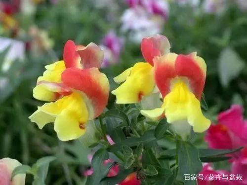 心里的苦自己扛的句子 用一杯水的单纯面对一辈子的复杂