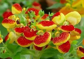 关于感悟2021年的到来的朋友圈句子89句