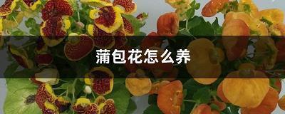 深夜孤独忧伤的情感句子