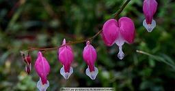 人生没有后悔的句子