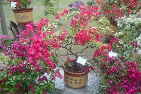 中考勉励又暖心的话 中考生暖心励志唯美的句子(精选23句)