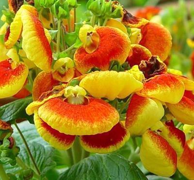 毕业同学录唯美句子大全(精选28句)