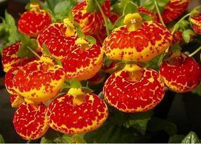 劝人开心的句子