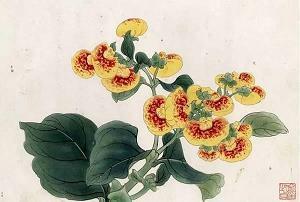 立秋适合发朋友圈的句子(精选71句)