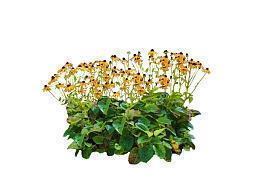 感悟人生的句子伤感哲理