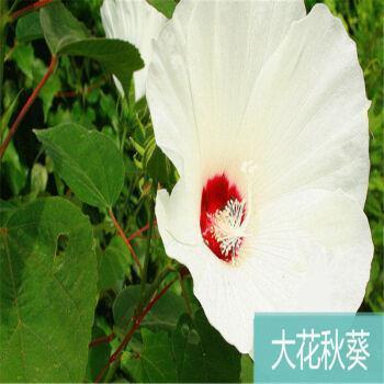 六一儿童节家长给孩子的祝福语合集84句