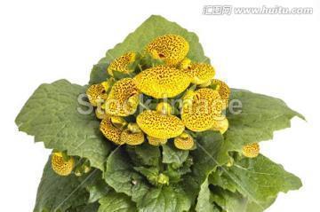 六月晚安语录正能量一句话集锦23句