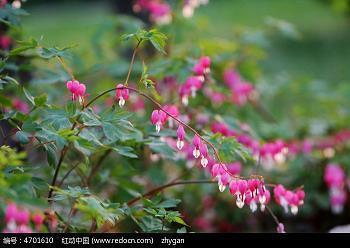 秋天的句子短句唯美文案摘抄(精选58句)