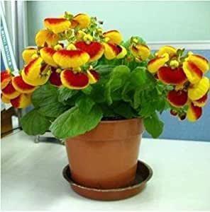 新的一天开始精美语句 早安心语正能量摘录26句