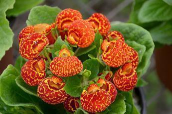 最伤感的一句话想哭的 女生伤感心痛难过的句子