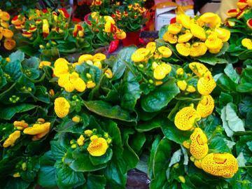 2021冬至祝福语_冬至温馨的祝福(精选98句)