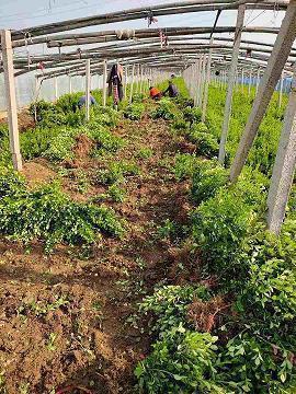 被拒绝后的伤感句子 被利用后的伤感句子(精选20句)