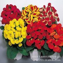 无坚不摧的意思是什么 无坚不摧造句 无坚不摧的反义词