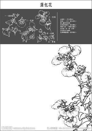 一步一脚印的经典句子文案(精选28句)