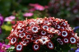 表达心累想离开的句子