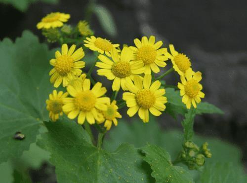 表示独立的经典说说汇编76句