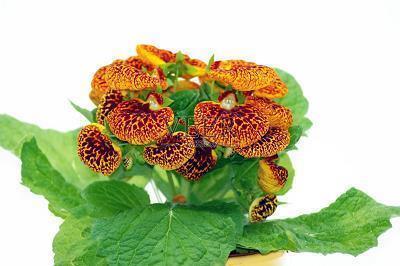 今日谷雨朋友圈文案 谷雨时节诗句说说汇总85句