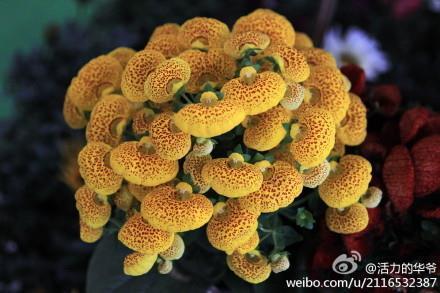 描写劳动场景的句子34句