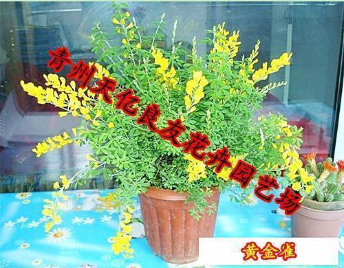 描写景物的好词好句摘抄汇总64句