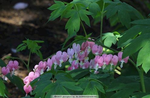 经典语句离别的句子81句