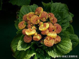 晚安心语：天再黑我也有自己的灯推荐38句