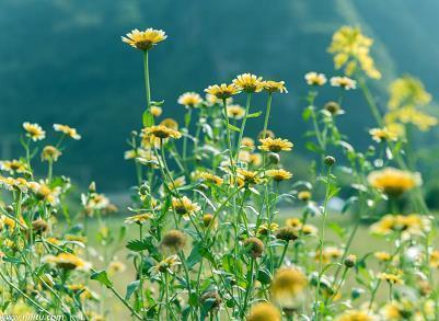 美好的祝福句子83句