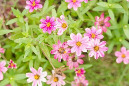 经典句子大全唯美