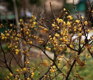 鼓励男友减轻压力暖心话(精选30句)