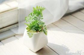 迎接元旦祝福语简短有创意合集91句