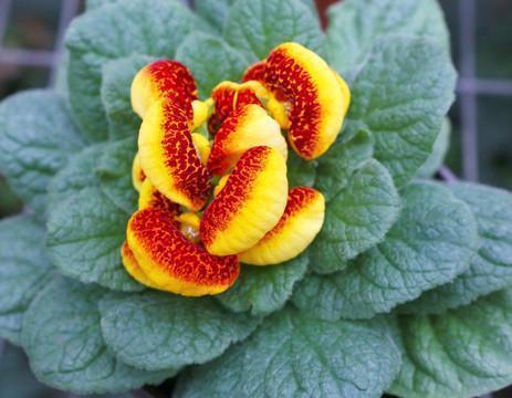 早安正能量心语配图 早安正能量激励朋友圈汇编49句