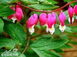 李开复经典语录大全