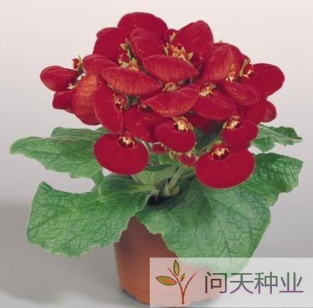 改变自己的朋友圈 改变自己发朋友圈配文
