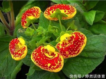 非主流说说控加图片_情敌三千欧何妨汇总39句