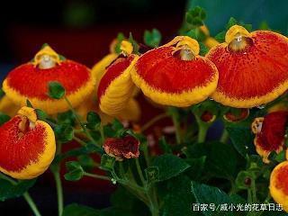 每日一段唯美心情说说