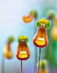 感恩节感谢同学的句子