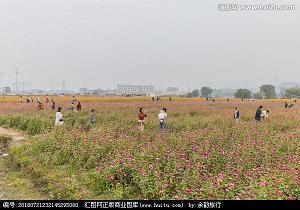 有深度的句子爱情