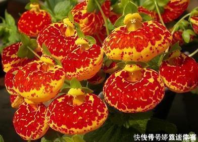 旅行的唯美句子