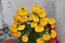 超甜的早安问候语高情商(精选28句)