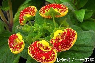 关于西安的文案 抗击疫情西安加油的句子