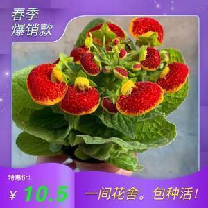 描写河流的句子摘抄_本文句子合集49句