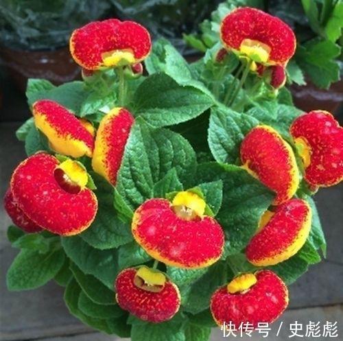 晚安心语励志语录简单一句话汇总39句