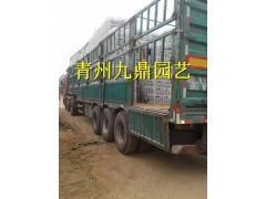 简单开心快乐格言 2021简单快乐的心态句子26句